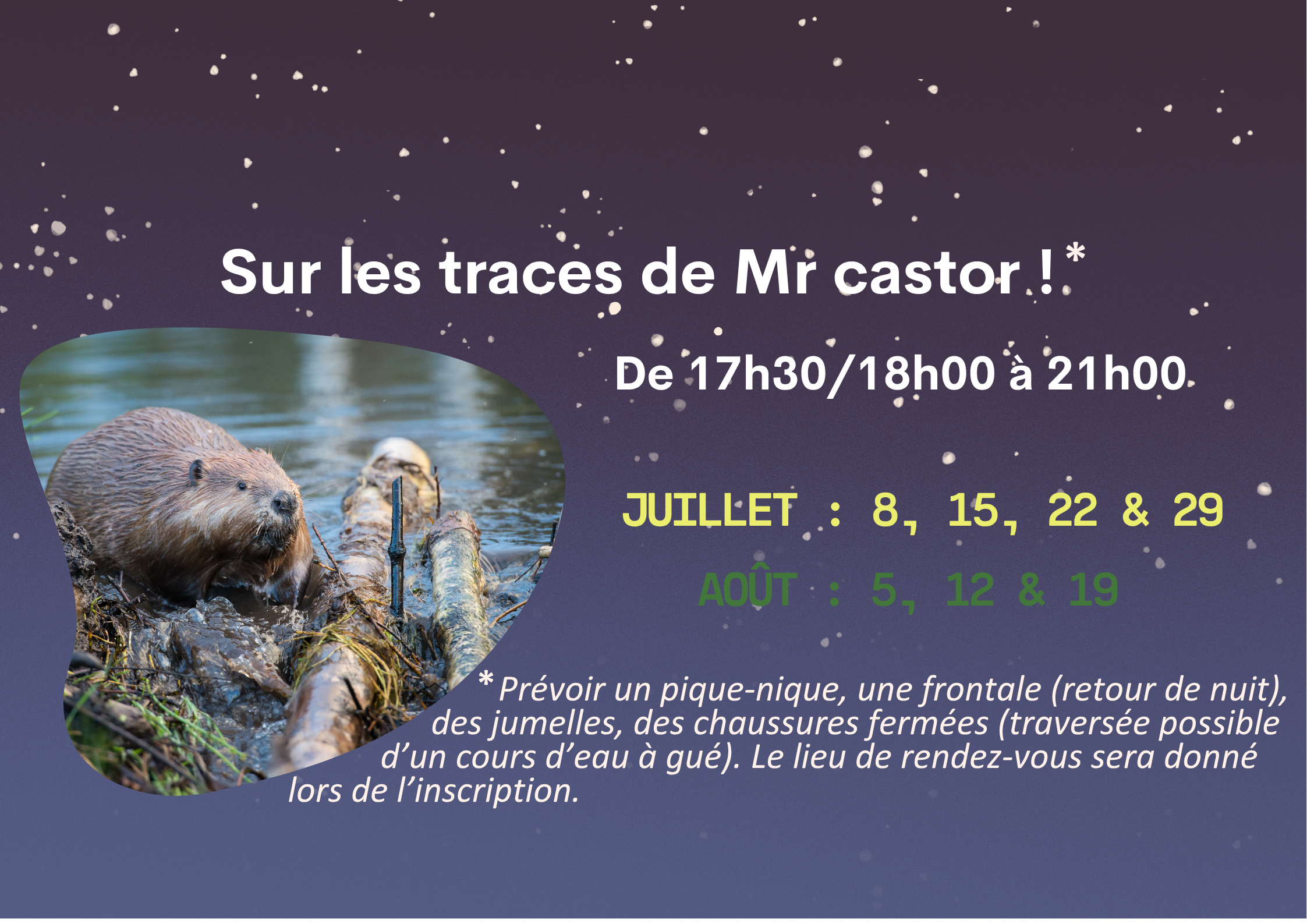 SUR LES TRACES DE MR CASTOR 2026