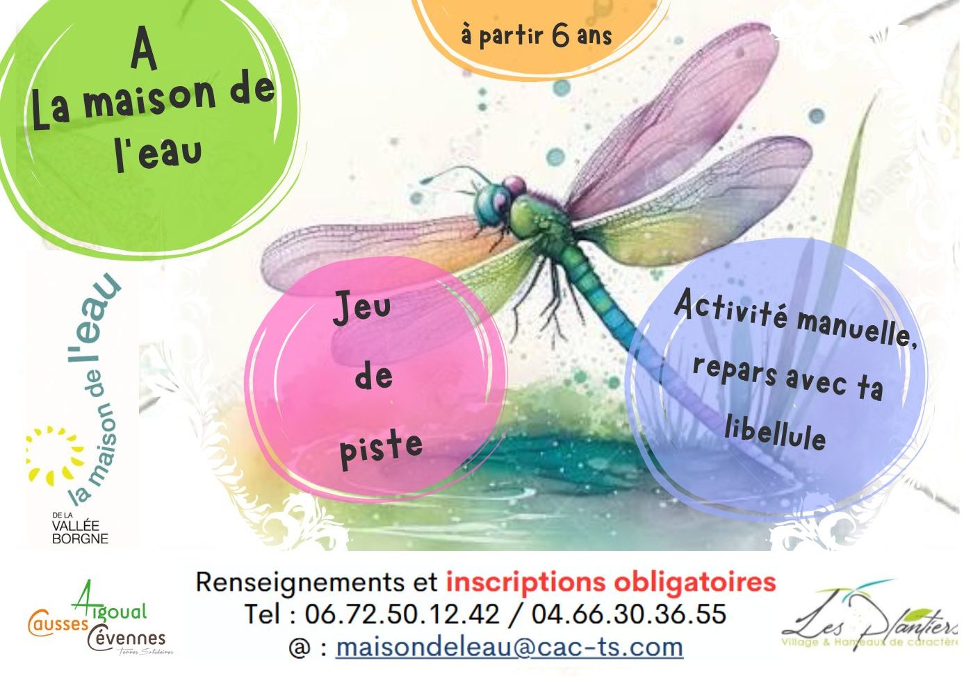 Libellule et demoiselle, les reines de la rivière