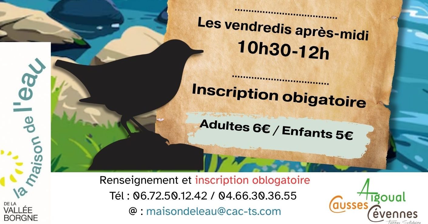 A la découverte de l&rsquo;habitant mystérieux des rivières